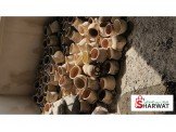 صحون +ماكنه اسبرسو +فخار