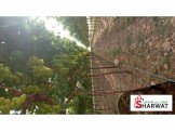 عنب للبيع في الجفتلك Image 2