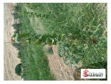 عنب للبيع في الجفتلك Image 3