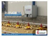 مستلزمات مزارع الدواجن المغلقة  Image 3