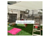الخواجا للمظلات والبرجلاه  Image 3