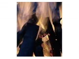 حطب زيتون للافران وللصوبات الحطب Image 3