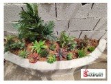 نباتات اصطناعية للبيع 