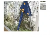 مكنسة تنظيف وقشاطة 2*1 لتنظيف الارضيات والشبابيك والسجاد Image 3