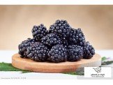 اشتال توت اسود Black Berry 