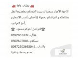 نقليات عامة Image 2