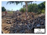 حطب للنار Image 2