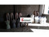 شروة ملكنات ب950  Image 2