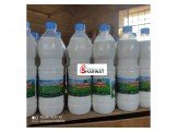 المزرعة النموذجية لانتاج حليب النوق Image 2