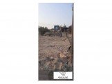 بوبكت Image 3