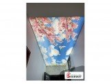 شركة الحسن للاسقف المشدودة و 3D Image 3