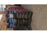 شروة فحم نوعية ممتازة بسعر مغري جدا لا يعوض Image 2