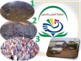 مشروع دجاج بياض لانتاج بيض المائدة