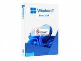 Windows 11 Pro & Home Image 2