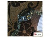 شروة ساعات بسعر مميز Image 3