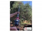 خراطات زيتون 