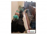 شروة ملابس سبورت تركي صبايا بسعر مغري Image 2