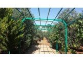 عمل معرشات واسلاك شائكة 