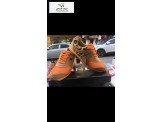 شروة احذية ستاتي اقل من سعر الجملة Image 3