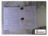 قط شيرازي Image 2