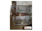 اقفاص عصافير بحالة جيدة Image 2