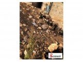 فراخ بلدي Image 2