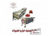 ماكينة لتصنيف خيار و خضروات
