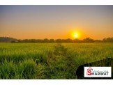 اراضي للبيع في مدينة رام الله