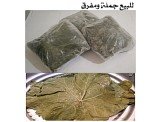 ورق عنب مجمد للبيع