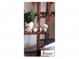 قطط  Image 2
