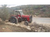 290 MASSEY - FERGUSON تركتر  Image 2
