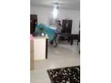 الامير لنقل الاثاث المنزلي والمكتبي والمؤسسات Image 2