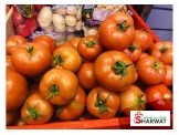 GREEN للخضار و الفواكة Image 2