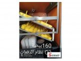 فقاسات PTO في فلسطين Image 3