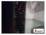 شقة ثلاث غرف غير مفروشة