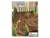فيلا خمس غرف عظم Image 3