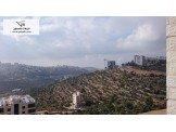 شقة ثلاث غرف غير مفروشة Image 3