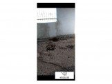  ثلاث غرف عظم Image 3