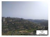 شقة ثلاث غرف غير مفروشة Image 3