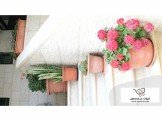 شقة ثلاث غرف مفروشة Image 2