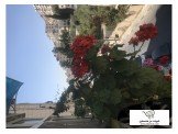 شقة غرفة واحدة - ستوديو  Image 2