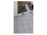 شقة مع حديقة بالطيرة Image 2
