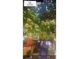 شقة ثلاث غرف  Image 3