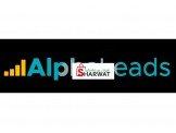 Alpha Leads  Image 1