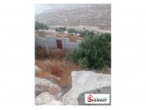 ارض 6دونم صالحه للبناء مشجره بالزيتون  Image 2