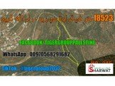 18523 متر في قراوة بني زيد رام الله - للبيع  Image 1