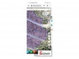 ارض طابو سلطة (أ) من المالك مباشرة / كفر عين  Image 1