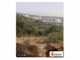 ارض ٨ دونم وارض ١٨دونم Image 1