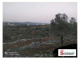دونم ب 40 الف دينار Image 1