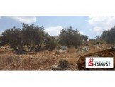 نمر أراضي للبيع طابو سلطة 660 متر النمرة في مشروع  Image 2